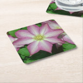 トリオオブクレマチスピンクとホワイト春つる植物 スクエアペーパーコースター (アングル)