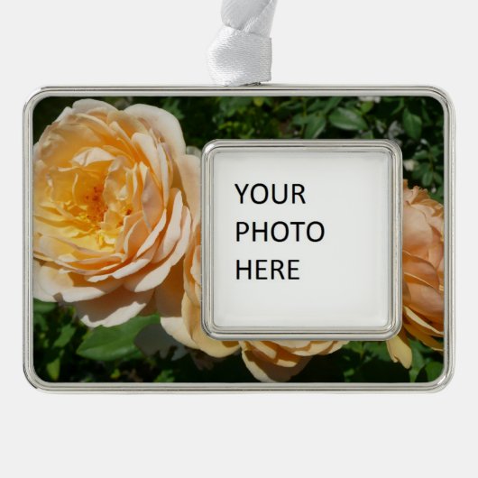 トリオオブピーチバラフローラ シルバープレートフレームオーナメント (正面)
