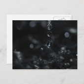 トリオドゥゴットドー ポストカード (正面/裏面)