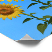 トリオヒマワリ ポスター (角)