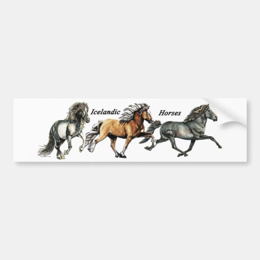 トリオ・イン・トルト バンパーステッカー (正面)