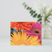 トリオ ポストカード (スタンド正面)