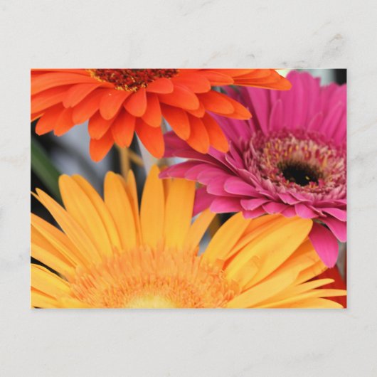 トリオ ポストカード (正面)