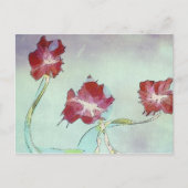 トリオ ポストカード (正面)