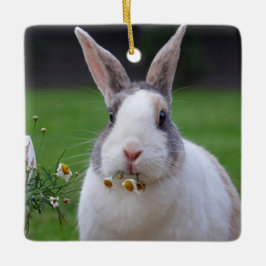 トリカラーオランダドワーフミニバニーラビット セラミックオーナメント
