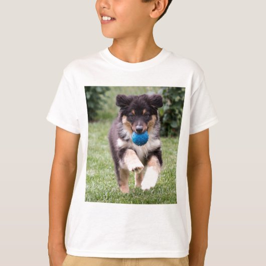 トリカラーオーストラリア羊飼いカップ Tシャツ (正面)