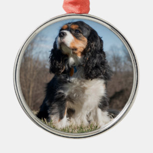トリカラーカバリエキングチャールズスパニエル犬 メタルオーナメント