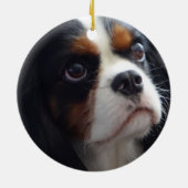 トリカラーカバリエセラミックオーナメント セラミックオーナメント (裏面)