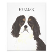 トリカラーカバリエールキングチャールズスパニエル犬 フォトプリント (正面)