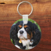 トリカラーカバリヤキングチャールズスパニエル犬ドッグ キーホルダー (正面)