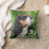 トリカラーカバリヤキングチャールズスパニエル犬ドッグ クッション (ブランケット)