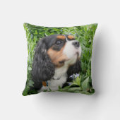 トリカラーカバリヤキングチャールズスパニエル犬ドッグ クッション (裏面)