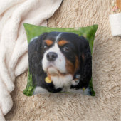 トリカラーカバリヤキングチャールズスパニエル犬ドッグ クッション (ブランケット)