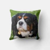 トリカラーカバリヤキングチャールズスパニエル犬ドッグ クッション (裏面)