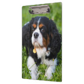 トリカラーカバリヤキングチャールズスパニエル犬ドッグ クリップボード (左)