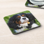 トリカラーカバリヤキングチャールズスパニエル犬ドッグ コースター (左側)