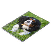 トリカラーカバリヤキングチャールズスパニエル犬ドッグ ノートブック (左側)