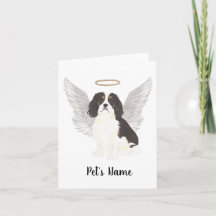 トリカラーカバリヤキングチャールズスパニエル犬悔やみや弔慰