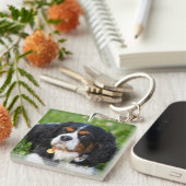 トリカラーカヴァリエキングチャールズスパニエル犬ドッグ キーホルダー (正面右)