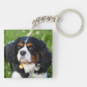 トリカラーカヴァリエキングチャールズスパニエル犬ドッグ キーホルダー (裏面)