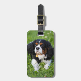 トリカラーカヴァリエキングチャールズスパニエル犬ドッグ ラゲッジタグ