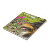 トリカラーコリンNチューリップタイルトリベット タイル (側面)