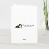 トリカラーシェットランド・ シープドッグクリスマスカード シーズンカード (裏面)