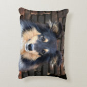 トリカラーシェットランド・ シープドッグ アクセントクッション (裏面(縦))