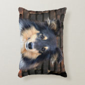 トリカラーシェットランド・ シープドッグ アクセントクッション (正面(垂直))