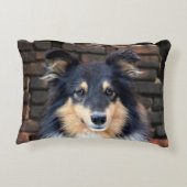 トリカラーシェットランド・ シープドッグ アクセントクッション (裏面)