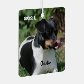 トリカラージャックラッセルテリアパピードッグ メタルオーナメント (正面右)