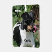 トリカラージャックラッセルテリアパピードッグ メタルオーナメント (正面左)