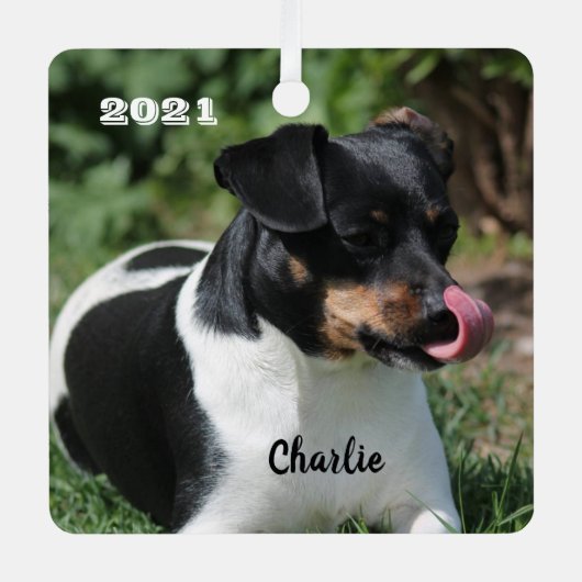 トリカラージャックラッセルテリアパピードッグ メタルオーナメント (正面)