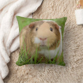 トリカラースムースヘアペットギニアピグ クッション (ブランケット)