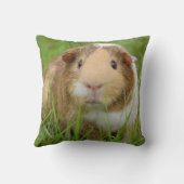 トリカラースムースヘアペットギニアピグ クッション (裏面)