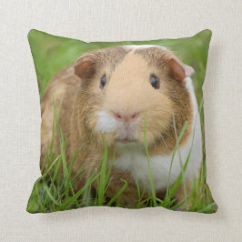 トリカラースムースヘアペットギニアピグ クッション