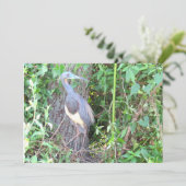 トリカラーヘロン建物アネスト (スタンド正面)