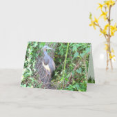 トリカラーヘロン建物アネスト カード (黄色い花)