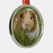 トリカラーペットギニアピグ メタルオーナメント (右)