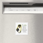 トリカラーラフなカラーギフト マグネット (インサイチュ (食洗機))