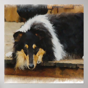 トリカラーラフCollieギフトアート ポスター