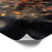 トリガーフィッシュ ポスター (角)