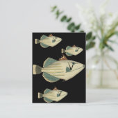 トリガーフィッシュ ポストカード (スタンド正面)