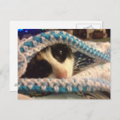 トリクシーとブルース ポストカード (正面/裏面)