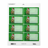 トリケラトプクリスマスグリーン ラベル (フルシート)