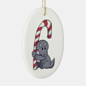 トリケラトプスのキャンディ・ケーンのオーナメント セラミックオーナメント (右)