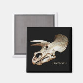 トリケラトプススカル磁石 マグネット (正面/裏面)