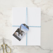 トリケラトプス恐竜 ギフトタグ (より糸付き)