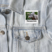 トリケラトプス恐竜 缶バッジ (インサイチュ)