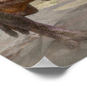 トリケラトプス攻撃から逃れるティラノサウルスレックス ポスター (角)